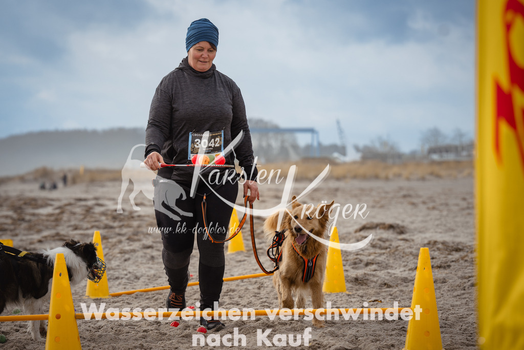 1207_ZZ94158 | kk-dogfotos