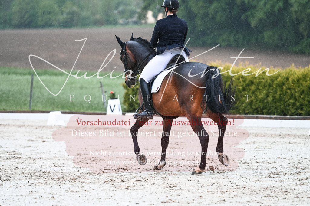 DSC_4532 | Pferde- und Turnierfotografie in Westsachsen. Pferdeportraits, Auftragszeichnungen und intuitive Kunst.
