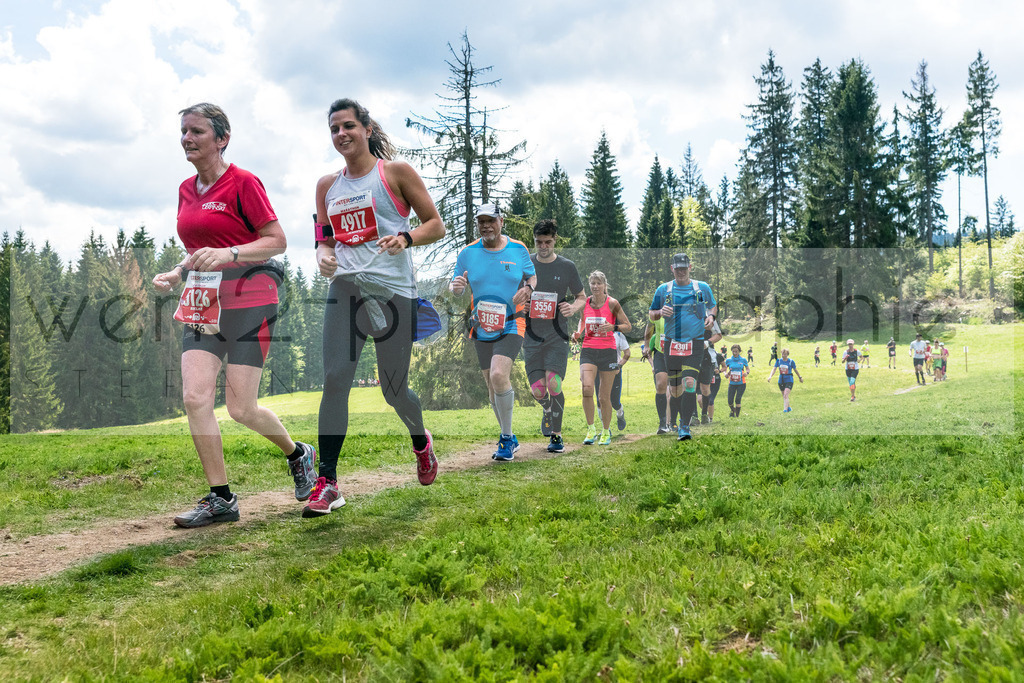 Rennsteiglauf 2019 | Marathon Neuhaus/Rwg. - Schmiedefeld am 18. Mai 2019