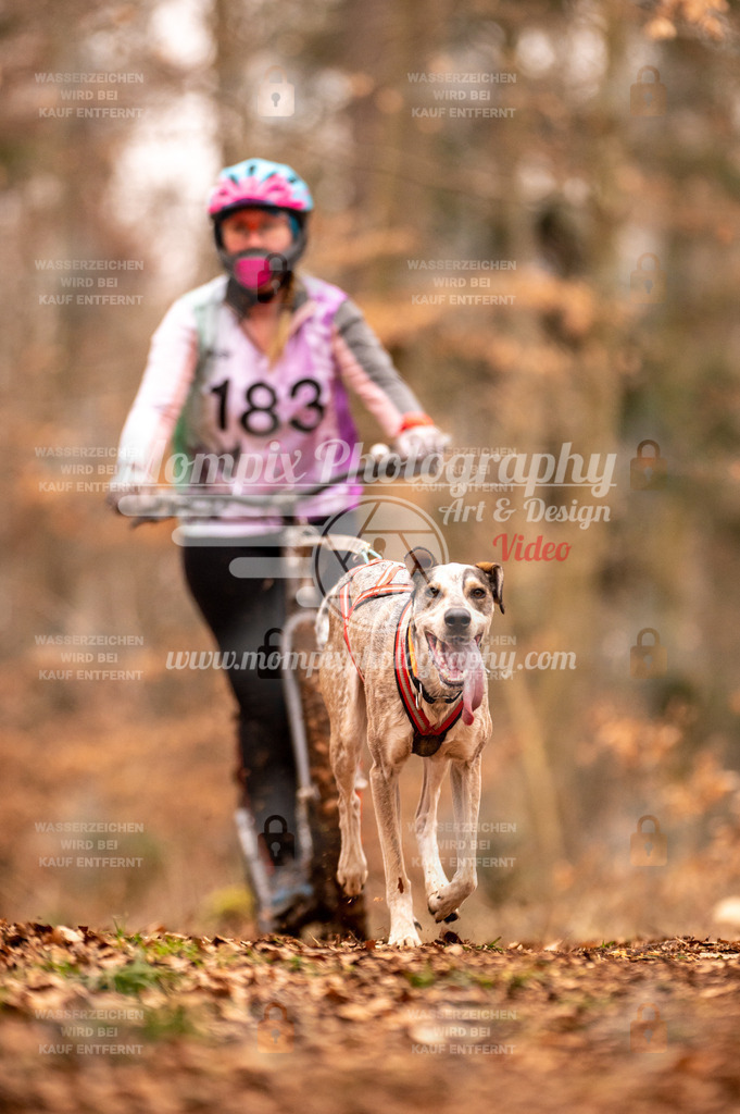 AKM_ST_2023_SAM_Scooter-59 | mompixphotography