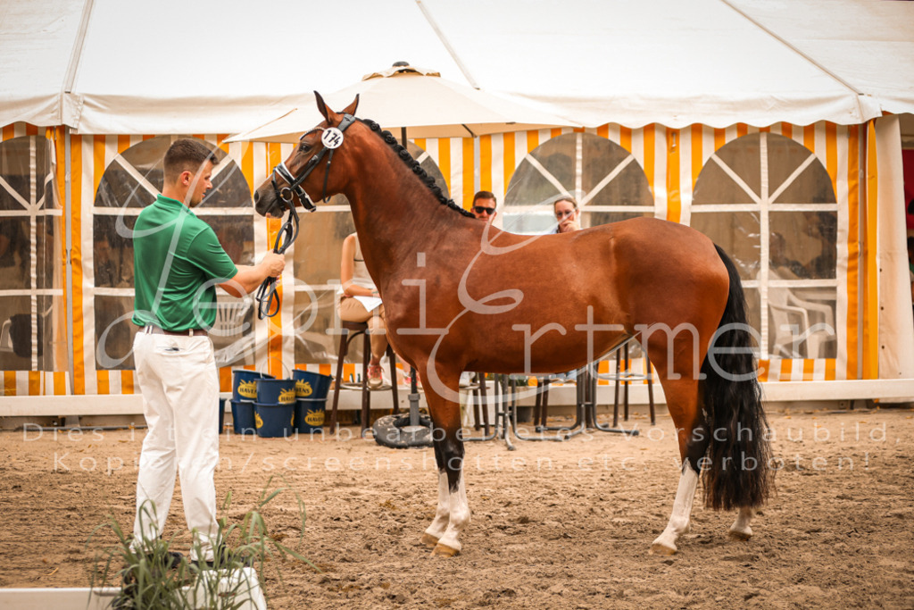 12.So00052 | Leoni Ertmer Photography - Realisiert mit Pictrs.com