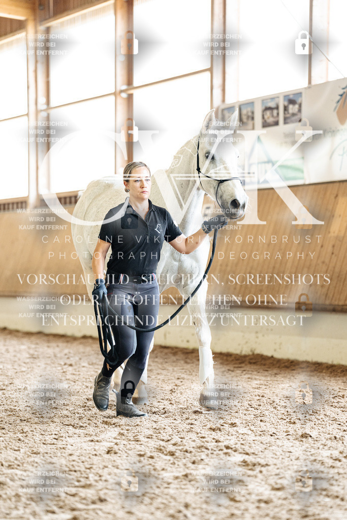 CK908182 | Turnierfotografie Pferdefotografie Trier Rheinland-Pfalz Pferdesport Reitsport Tierfotografie Sportfotografie Pferdevideo Pferdevideografie Equestrianvideography equestrianphotography  - Realized with Pictrs.com