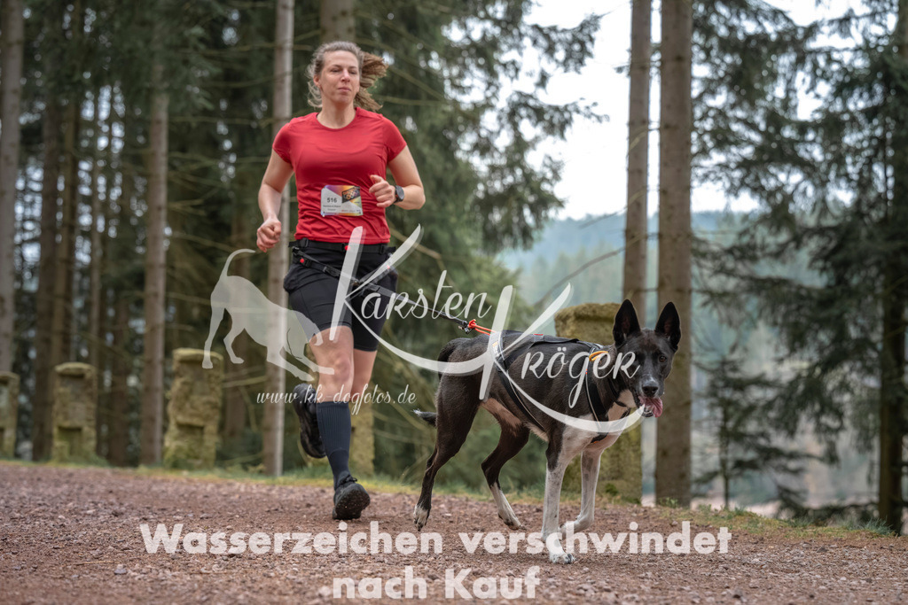 0802DZ6_2763 | kk-dogfotos