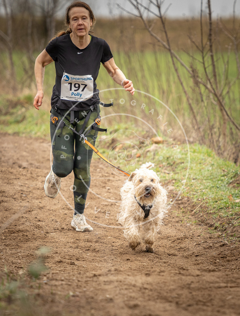 DV3A2363 | Hundefotografie, Tierfotograf, Pfotenfotografie, Fotoshooting Hund, Hunde Portrait, Hundesport, Hundeportraits, Heideshooting, Hunde, Sportfotograf, Hundefotograf, Turnierhundsport, THS,  - Realisiert mit Pictrs.com