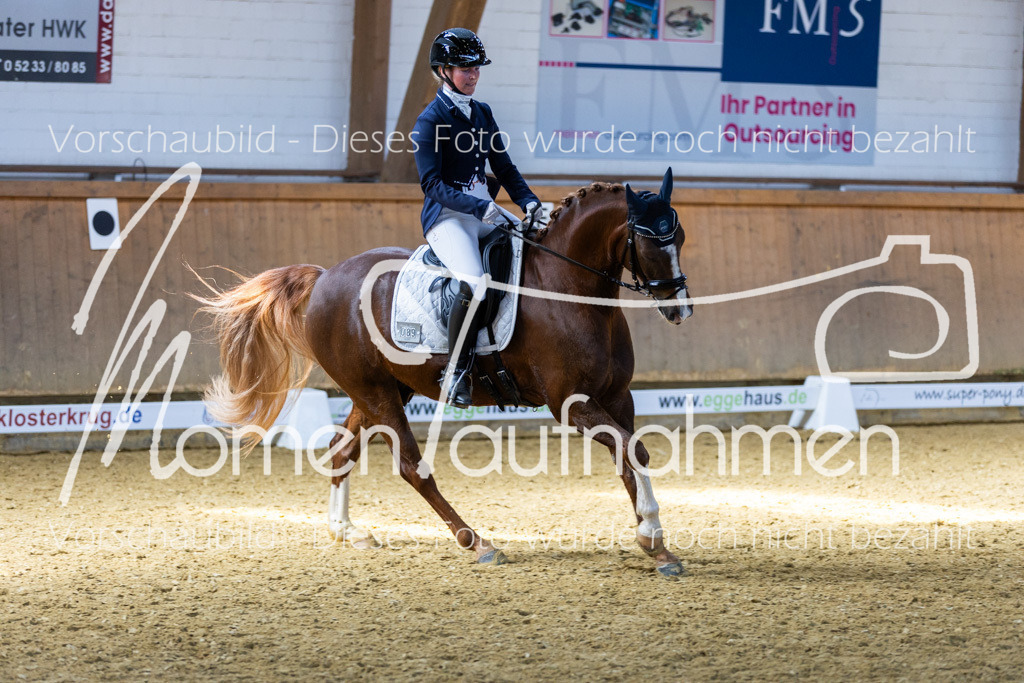 Sth-LPO25-DrR-L-230 | MomenTaufnahmen Pferdesportfotos