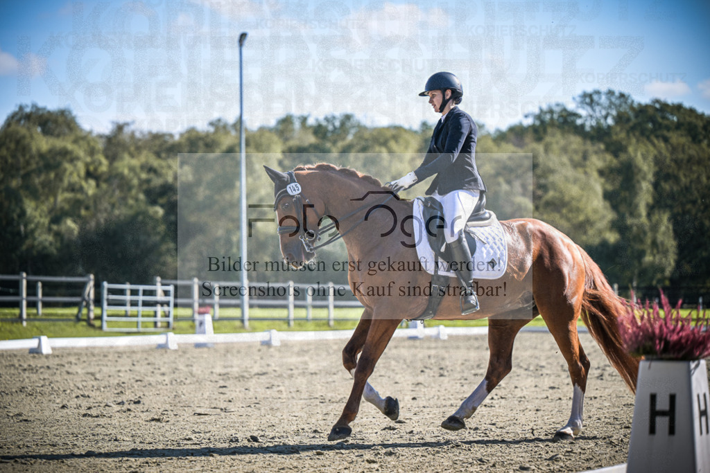 DOS_2770 | Entdecke hochwertige Reitturnierfotos von Foto Oger. Professionell, emotional und authentisch – jetzt Lieblingsmomente im Shop bestellen.Deutschlandweite Turnierfotografie. - Realisiert mit Pictrs.com