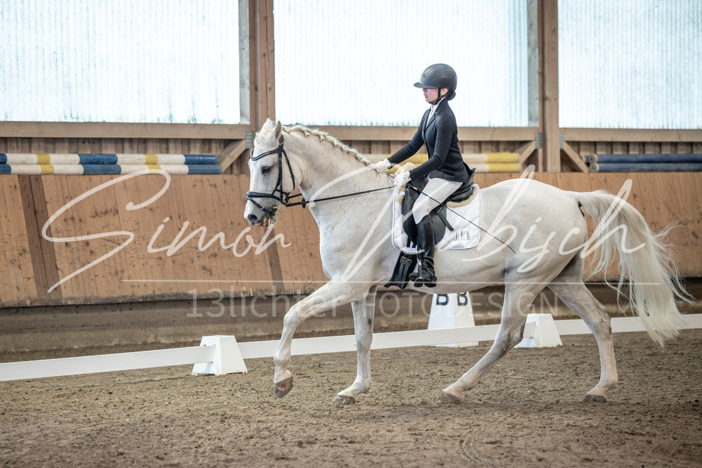 20251011-_3LI5852 | Tierfotografie Pferde, Hunde, Katzen, Haustiere.
Turnierfotografie Reitturniere, Reiten, Springreiten, Dressur in Hanau, dem Main-Kinzig-Kreis und dem Rhein-Main- Gebiet um Frankfurt