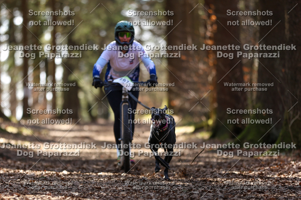 Dog Paparazzi - VCC26-1337 | Dog Paparazzi Jeanette Grottendiek Fotografie & Videografie - Realisiert mit Pictrs.com