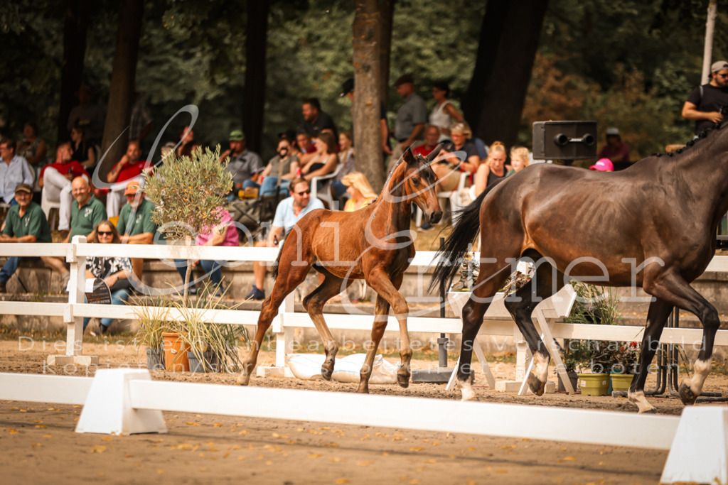 SaPA00108 | Leoni Ertmer Photography - Realisiert mit Pictrs.com