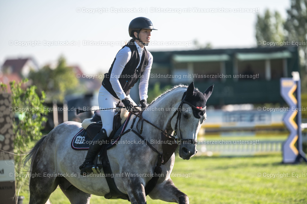 20230908_14-15_Springpferde-A_0003 | equistock