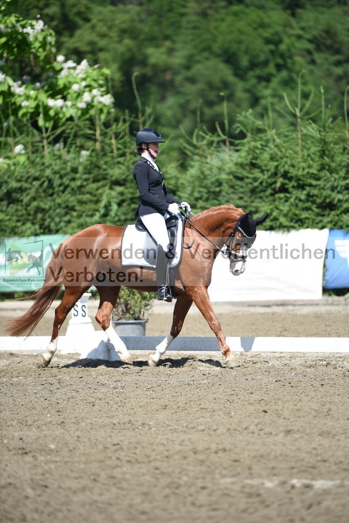 DSC_0219 | equestrian-live-com