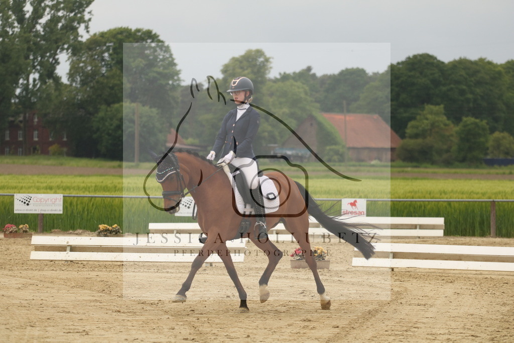 IMG_6862 | jessicahollubetz_pferdephotographie - Realisiert mit Pictrs.com