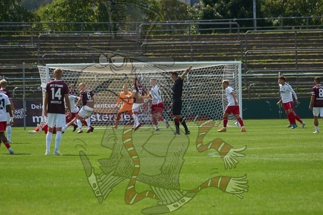 BFC Dynamo vs. ZFC Meuselwitz 095 | mythos-online-redaktion