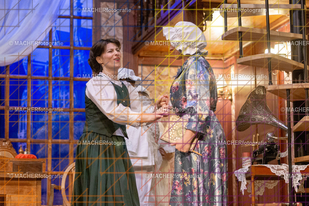 230_MFL-2025 | Portraitbilder von Regisseur; Darsteller; Techniker; Maske; Kostüme; Chor; Musiker; Bilderserie der Generalprobe und der Premierenvorstellung, Szenenbilder; Ausdrucksstudien; Bühnenüberblick; Bühnenkulissen; Pressefotos inkl. Redaktionsfoto Darstellergruppe.