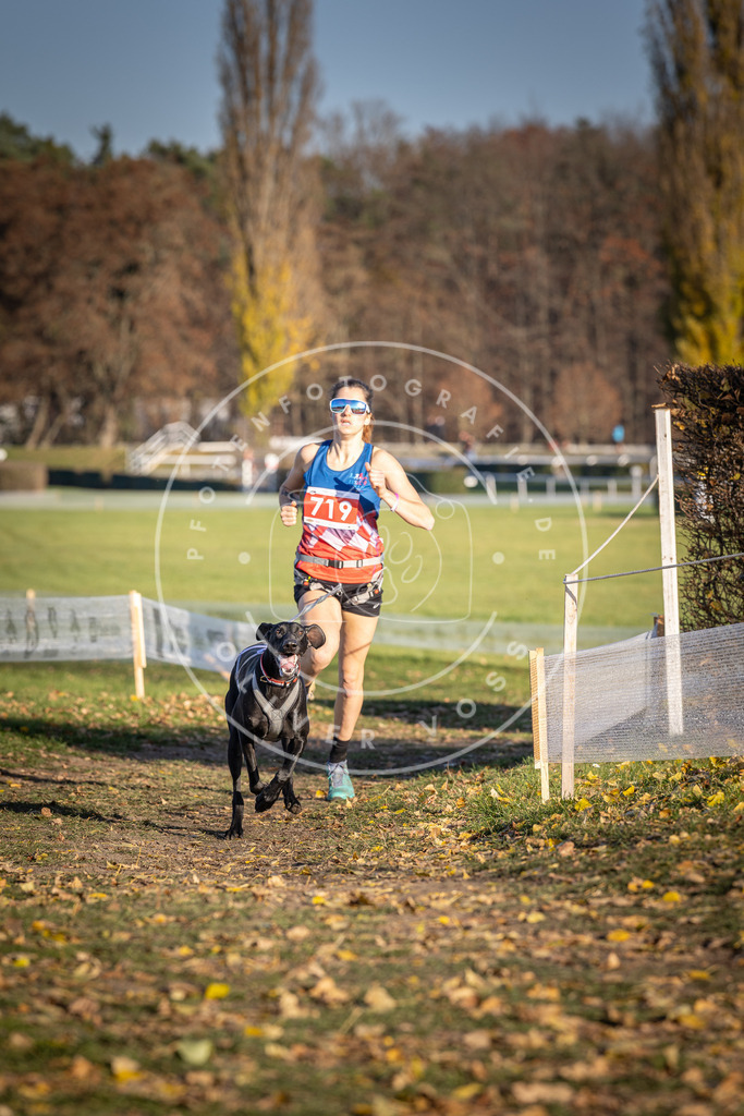 CaniXpix_DV3A1802 | Hundefotografie, Tierfotograf, Pfotenfotografie, Fotoshooting Hund, Hunde Portrait, Hundesport, Hundeportraits, Heideshooting, Hunde, Sportfotograf, Hundefotograf, Turnierhundsport, THS,  - Realisiert mit Pictrs.com