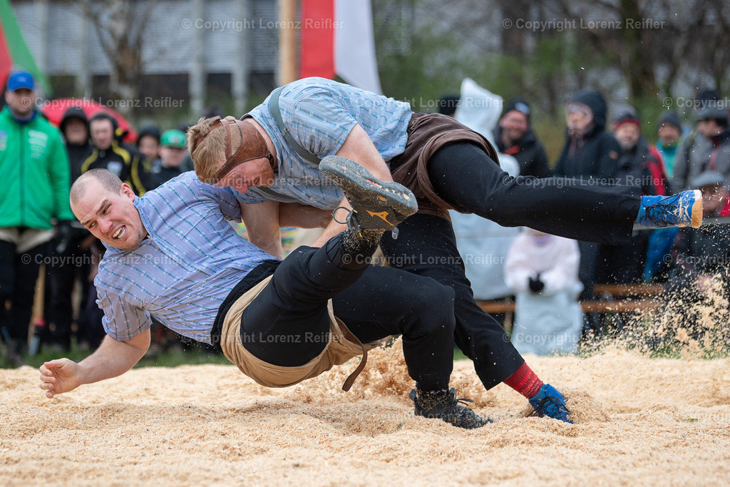 Schwingen -  Rheintal-Oberländer 2024 | Trübbach, 24.3.24, Schwingen - Rheintal-Oberländer.