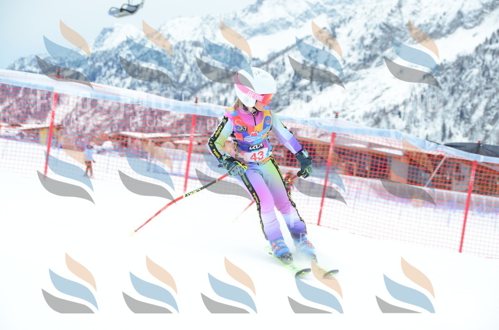 DSC_0921 | holidayphoto