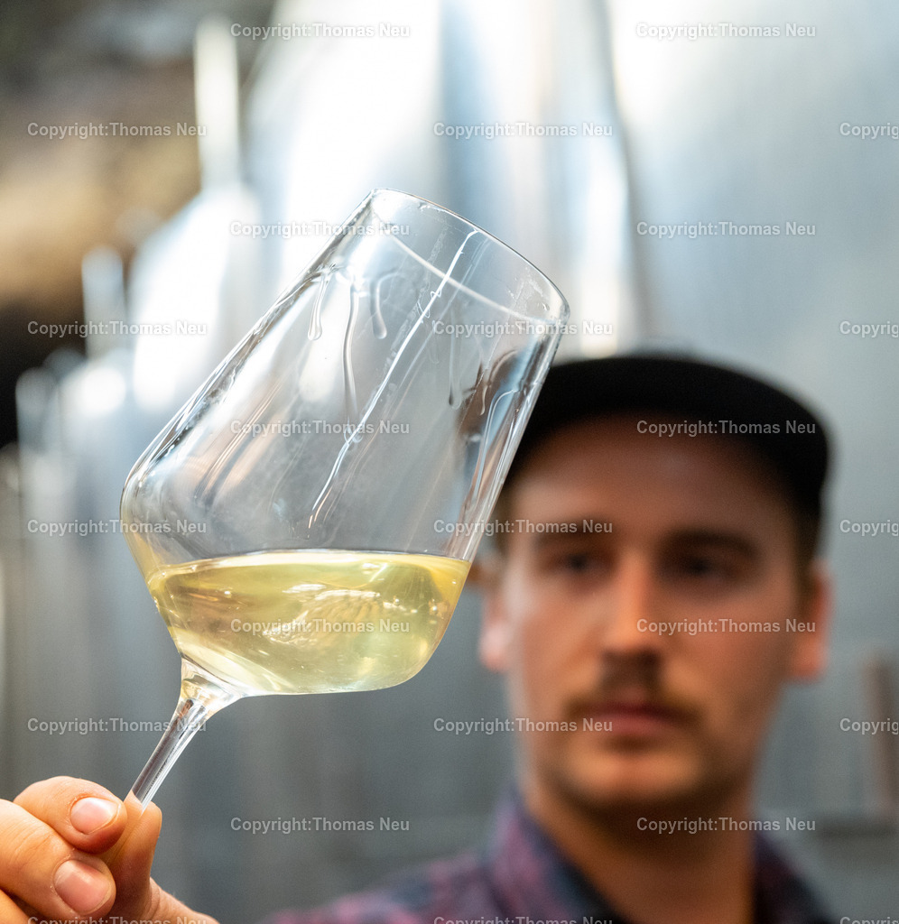 DSC_9456 | Winzerfestbeilage 2022, Weingut Jäger, Michael und Sebastian Jäger, Bild: Thomas Neu