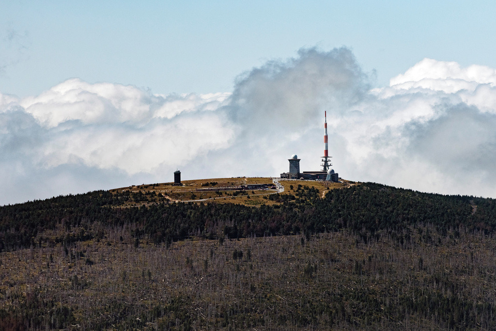 dr__0074055.jpg | SCHIERKE 01.09.2021 Gipfel des Brockengebirges im Harz in Schierke im Bundesland Sachsen-Anhalt. // Forest and mountain scenery Brocken in winter in Schierke in the state Saxony-Anhalt. Foto: Daniel Reiter
