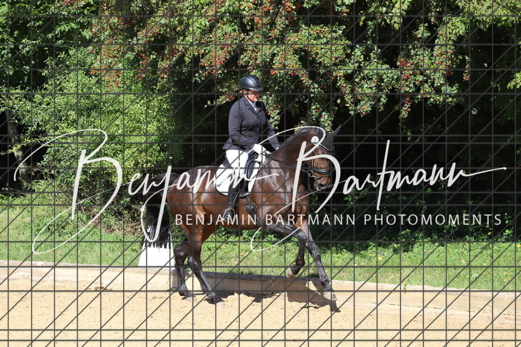 IMG_5766 | Benjamin Bartmann Photomoments