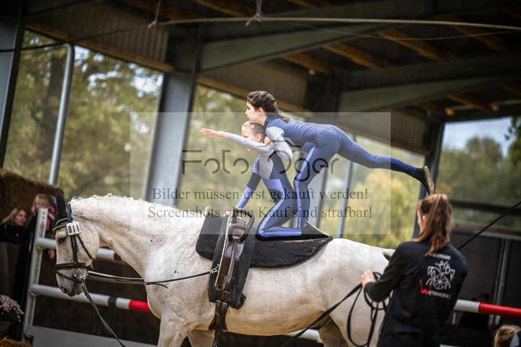 DOS_0186 | Entdecke hochwertige Reitturnierfotos von Foto Oger. Professionell, emotional und authentisch – jetzt Lieblingsmomente im Shop bestellen.Deutschlandweite Turnierfotografie. - Realisiert mit Pictrs.com