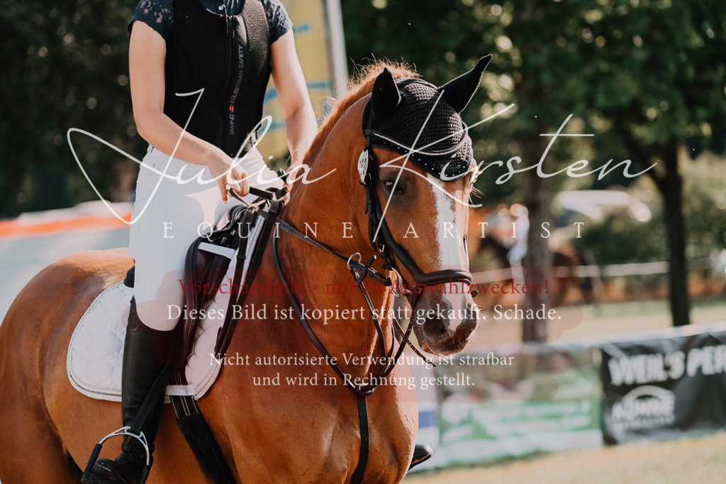 DSC_4638 | Pferde- und Turnierfotografie in Westsachsen. Pferdeportraits, Auftragszeichnungen und intuitive Kunst.