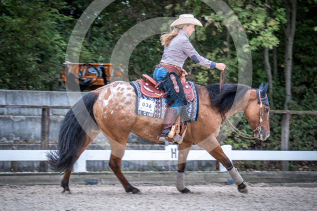 HEB07309 | BS-foto