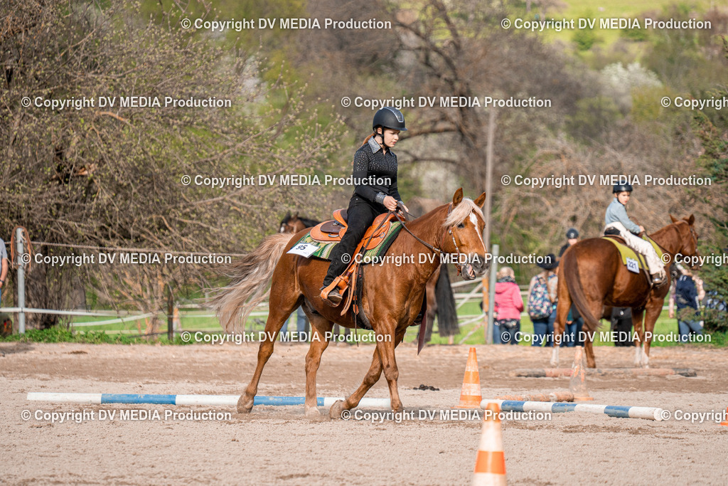 BAL02863 | dv-media-shop - Realisiert mit Pictrs.com