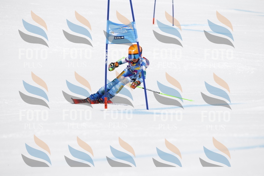 _U3G6334 | holidayphoto