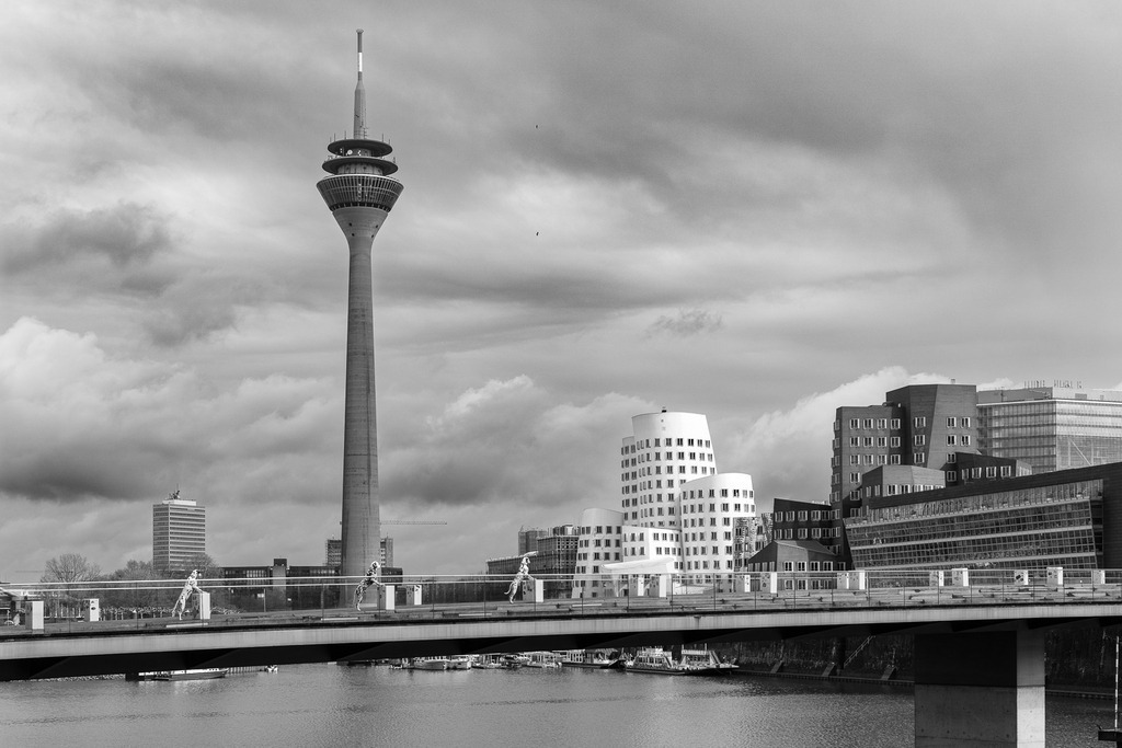 Fotowalk Medienhafen Düsseldorf - www.allesWIRTHgut.de -  @allesWIRTHgut_Tierfotografie 7R509508 - schwarzweiss | Professionelle Tierfotografie in Mönchengladbach von Daniel Wirth (allesWIRTHgut). Liebevolle & natürliche Bilder von Hunden & Katzen für unvergessliche Erinnerungen.