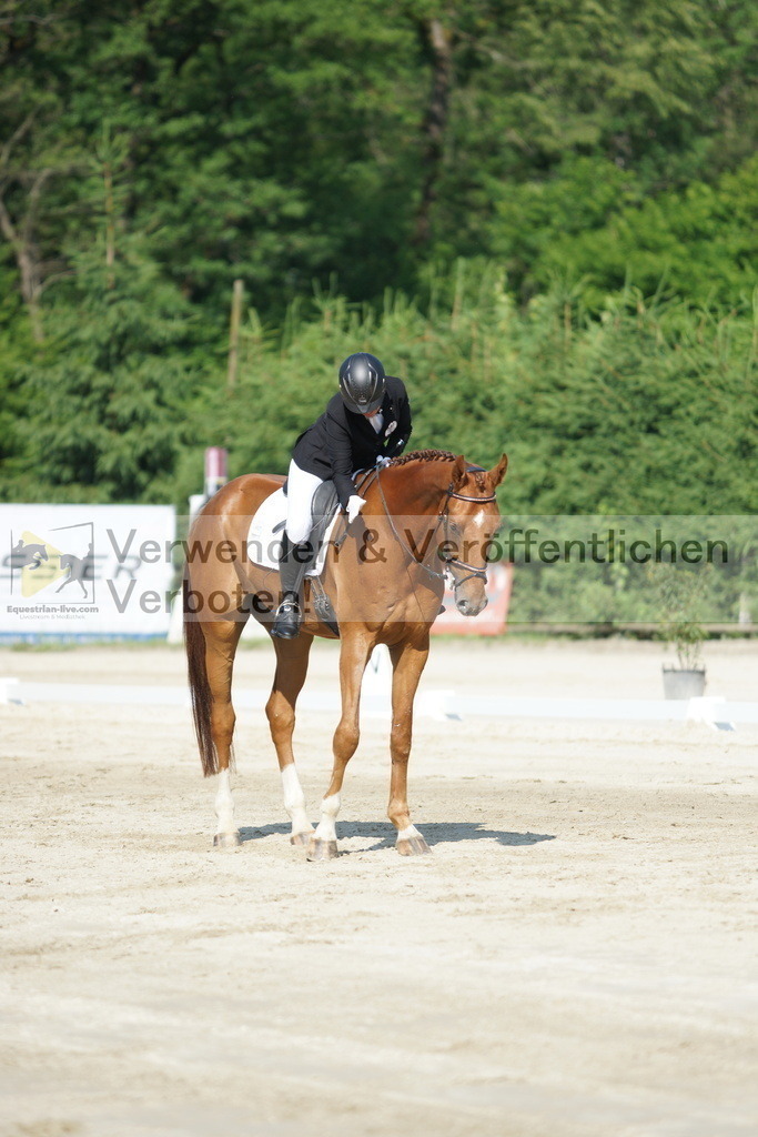 DSC01368 | equestrian-live-com