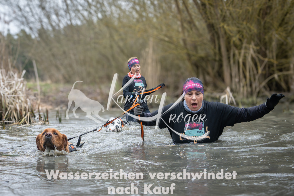 1001_ZZ95001 | kk-dogfotos