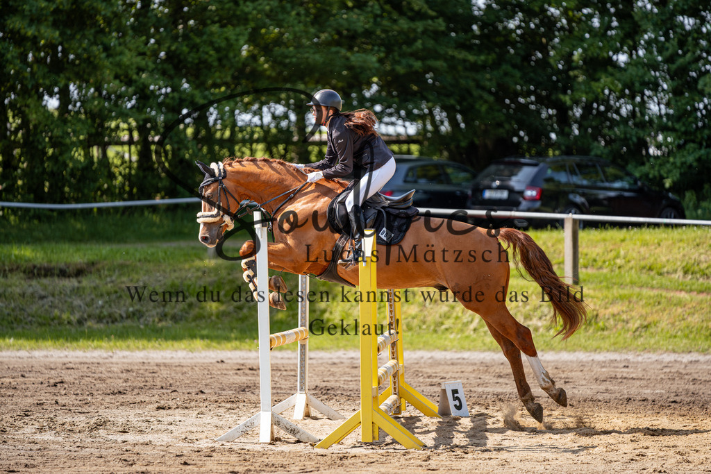 A7507341 | Turnier/Reitfotograf