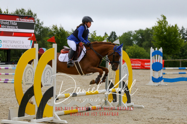 IMG_4880 | Turniersportfotografie; Pferdefotografie; Dressurfotografie