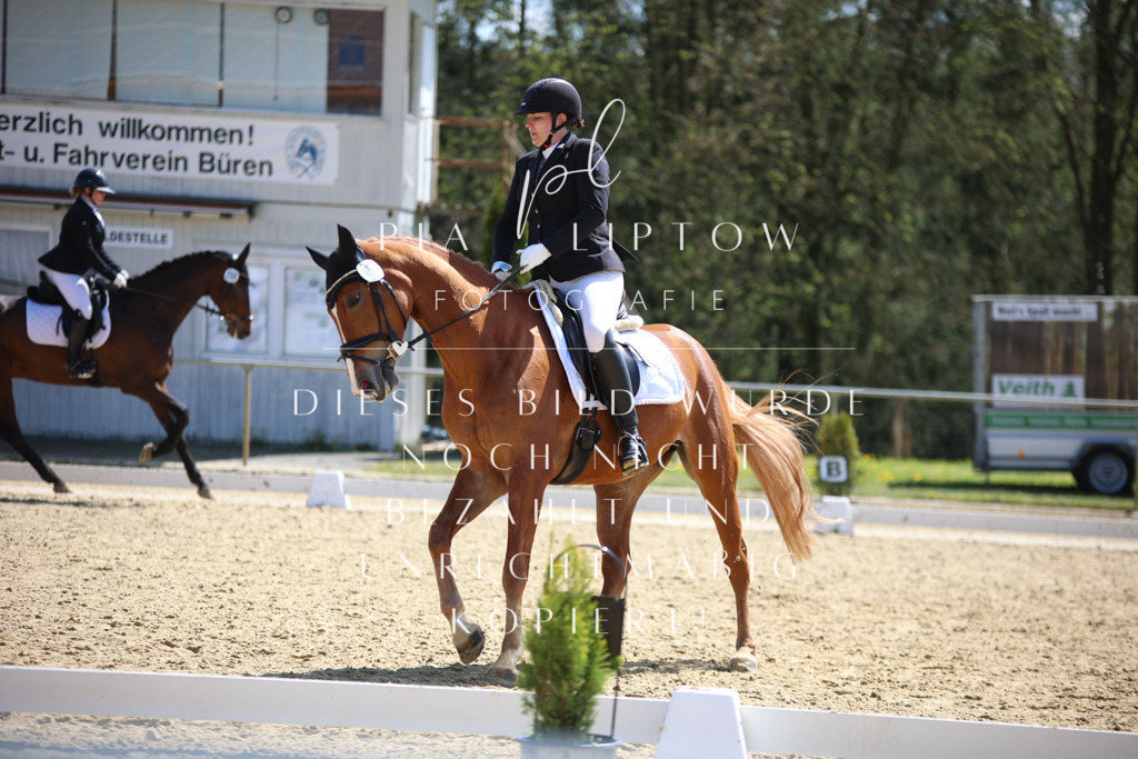 IMGT2244 | pl-fotografie