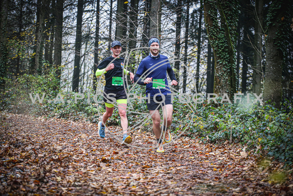 ..... | LEONDING,AUSTRIA,8.November 25, Kürnberglauf 2025  , Image shows: Photo: WAPICS / Andreas Willdoner