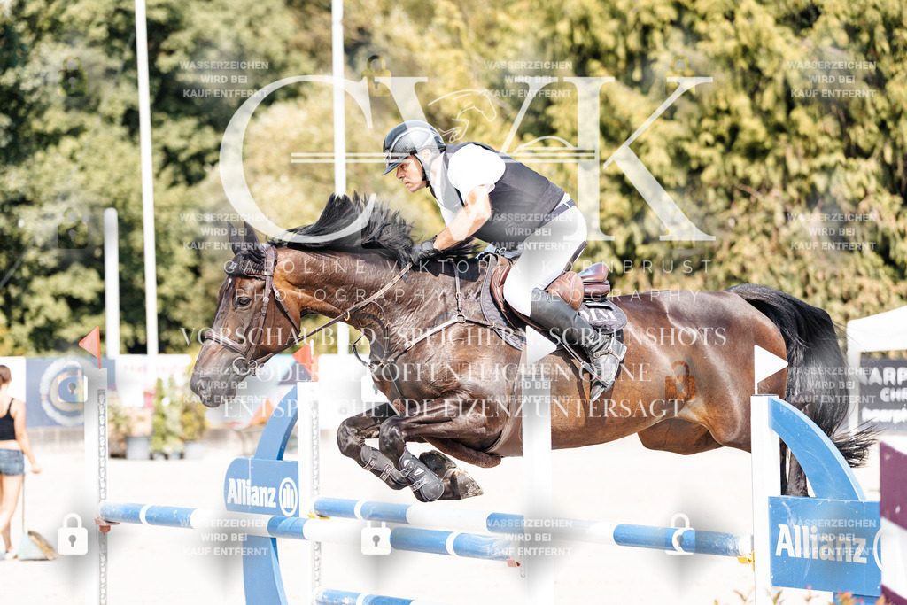 CK901706 | Turnierfotografie Pferdefotografie Trier Rheinland-Pfalz Pferdesport Reitsport Tierfotografie Sportfotografie Pferdevideo Pferdevideografie Equestrianvideography equestrianphotography  - Realisiert mit Pictrs.com