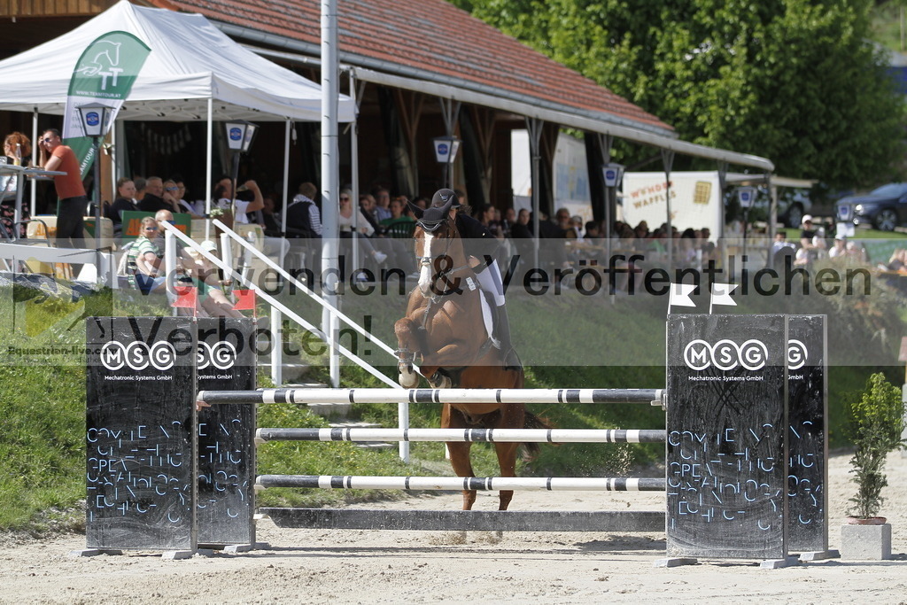 _MG_0499 | equestrian-live-com