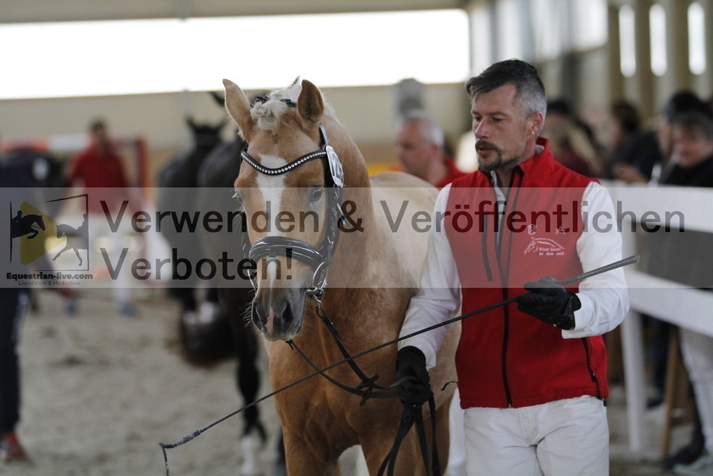 _MG_9932 | equestrian-live-com