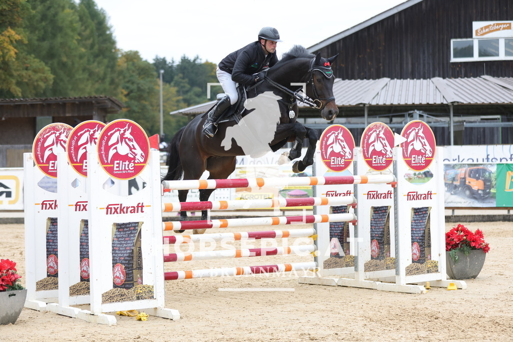 0P6A3571 | Willkommen bei Brunnmayr - Design & Fotografie – Ihrem Spezialisten für Reitturniere und Pferdeveranstaltungen in Oberösterreich, Salzburg und Bayern! Seit über 17 Jahren sind wir leidenschaftlich dabei.