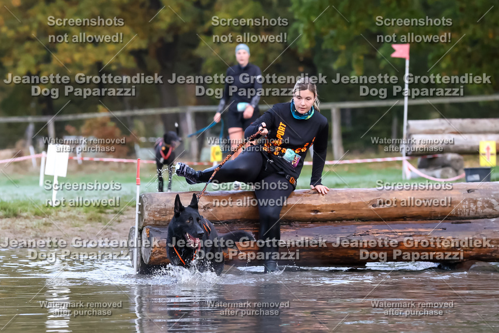 Dog Paparazzi - Strongdog 10-25-6272 | Dog Paparazzi Jeanette Grottendiek Fotografie & Videografie - Realisiert mit Pictrs.com