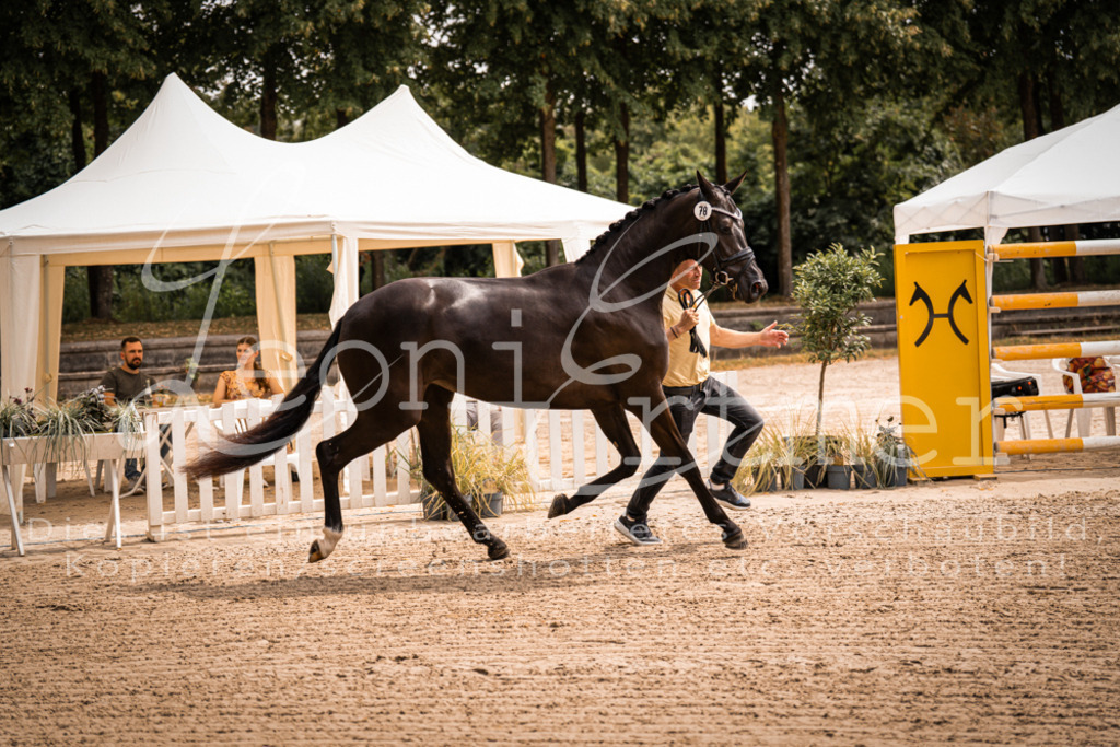 4.Fr00064 | Leoni Ertmer Photography - Realisiert mit Pictrs.com