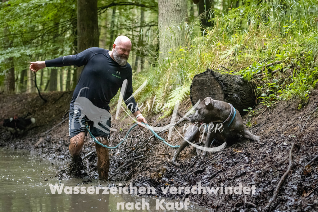 1113_ZZ90176-Bearbeitet-2 | kk-dogfotos