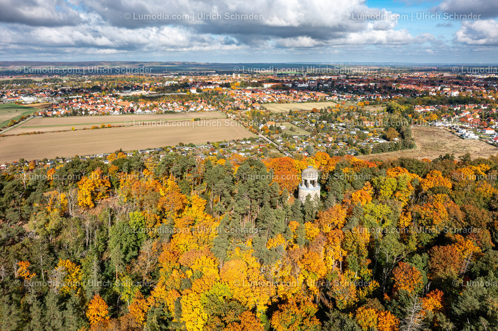 10049-52145 - Herbststimmung in den Spiegelsbergen | Stockfoto und Bilderpool mit Bildmaterial aus Deutschland, dem Harz, Halberstadt, Quedlinburg, Wernigerode und weltweit. Qualitativ hochwertige und professionelle Fotos anschauen und kaufen. - Realisiert mit Pictrs.com