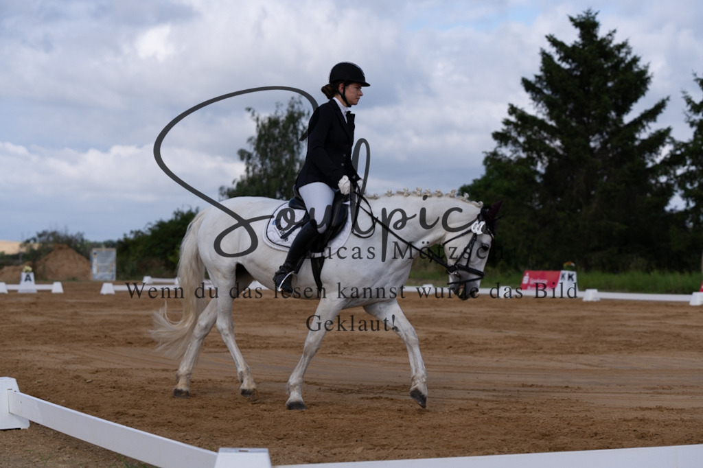 A7V05171 | Pferdefotograf