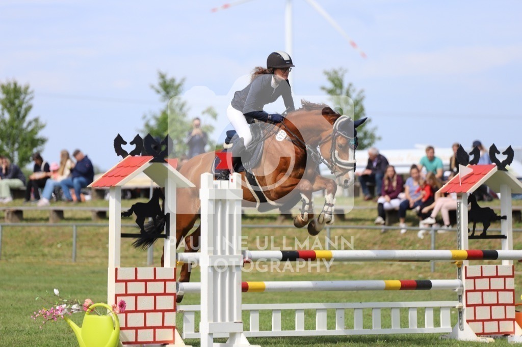 IMG_7118 | Pauline Ullmann Photography - Realisiert mit Pictrs.com