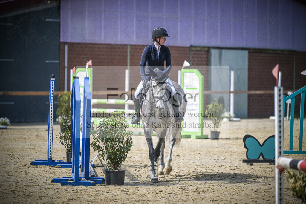 DOS_7142 | Entdecke hochwertige Reitturnierfotos von Foto Oger. Professionell, emotional und authentisch – jetzt Lieblingsmomente im Shop bestellen.Deutschlandweite Turnierfotografie. - Realisiert mit Pictrs.com
