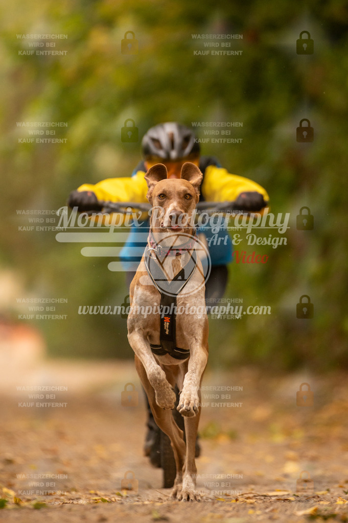 CDLBDB_14_10_2023_Samedi-160 | PayLife