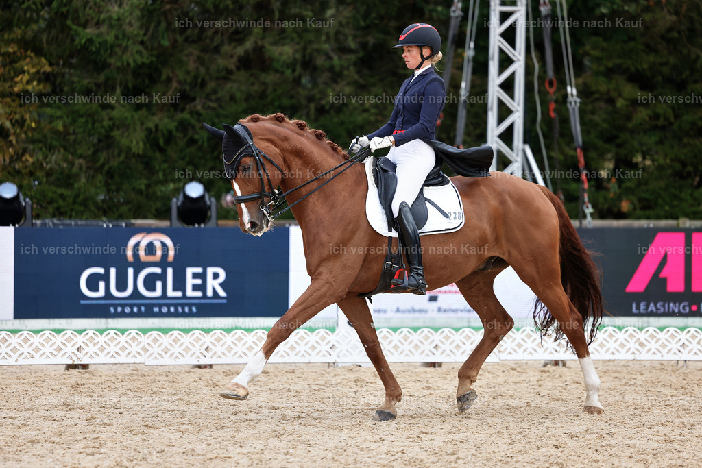 12-238-DRESSUR  S___  -StoibPH-5301 | working equitationturnier fotograf videograf stoibphotography marixx film working equitation deutschland reitsport turnierfotografie eventfotografie equestrian events