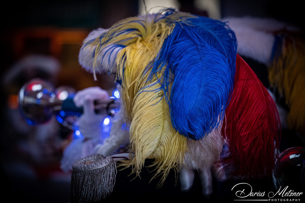 Die Mainzer Fastnacht | Die Mainzer Fastnacht